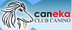 www.caneka.com.ar