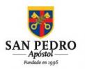 www.sanpedroapostol.com