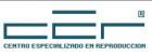 www.cermed.com