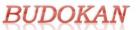 www.budokanweb.com.ar